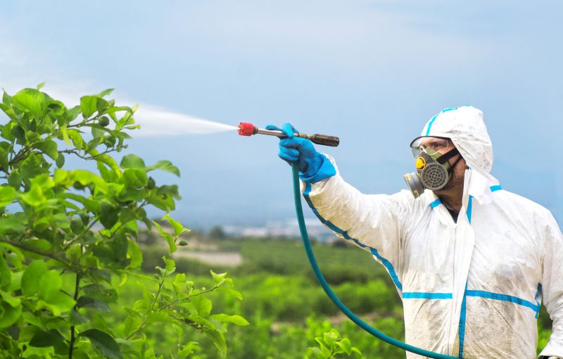 Rat Fumigation Service in Ann Arbor, MI