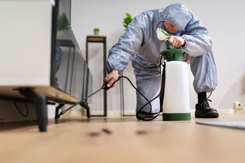 Residential Fumigation in San Jose, CA