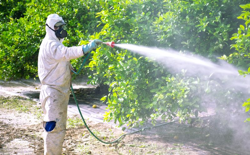 Residential Fumigation in Wilmington, NC