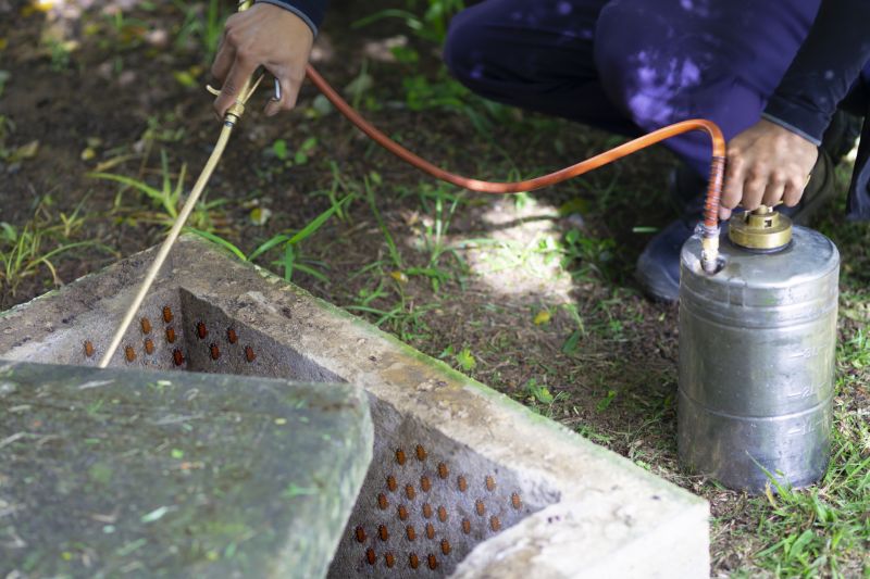 Roach Fumigation in Tampa, FL