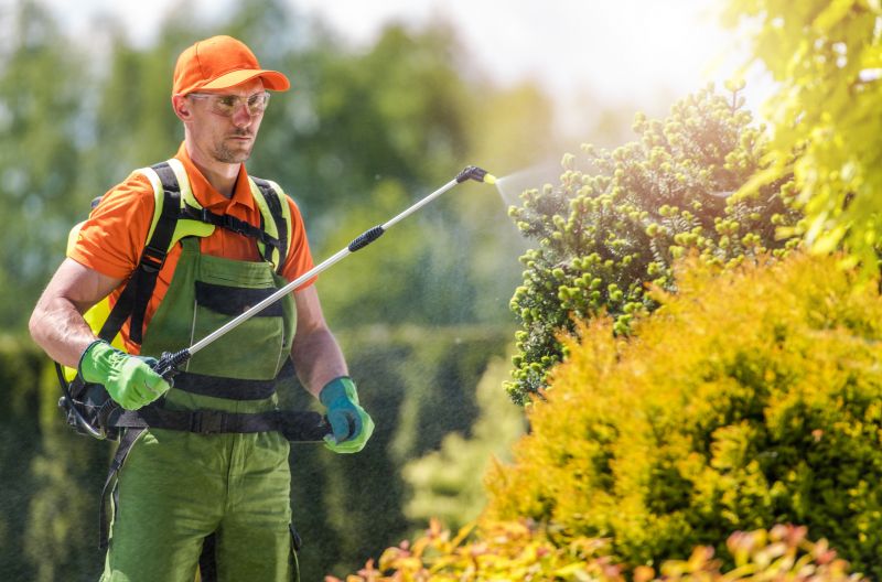 Spring Pest Management For Bug And Insect Control
