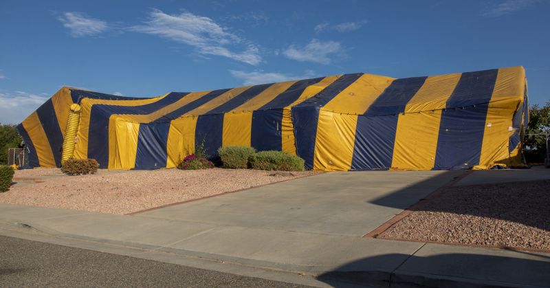 Tent Fumigation in Naperville, IL
