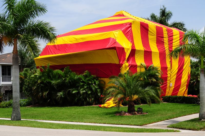 Termite Tenting in Ann Arbor, MI